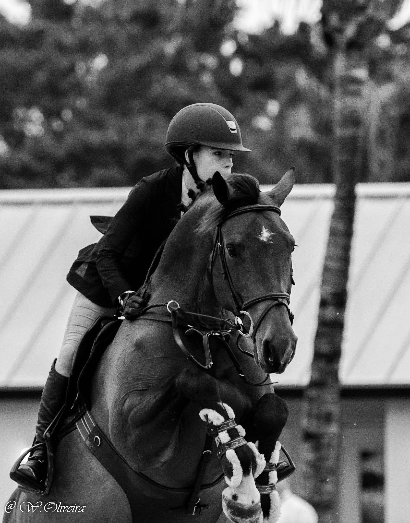 Helena Vasconcelos photo with horse